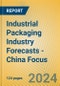 Industrial Packaging Industry Forecasts - China Focus - Product Thumbnail Image