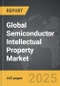 Semiconductor (Silicon) Intellectual Property (SIP) - Global Strategic Business Report - Product Thumbnail Image