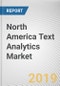 North America Text Analytics Market by Solution - Opportunities and Forecast, 2017 - 2023 - Product Thumbnail Image