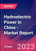Hydroelectric Power in China - Industry Market Research Report- Product Image