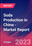 Soda Production in China - Industry Market Research Report- Product Image
