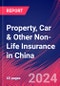 Property, Car & Other Non-Life Insurance in China - Industry Market Research Report - Product Thumbnail Image