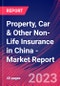 Property, Car & Other Non-Life Insurance in China - Industry Market Research Report - Product Thumbnail Image