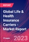 Global Life & Health Insurance Carriers - Industry Market Research Report - Product Thumbnail Image