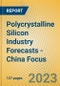 Polycrystalline Silicon Industry Forecasts - China Focus - Product Image