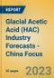Glacial Acetic Acid (HAC) Industry Forecasts - China Focus - Product Image