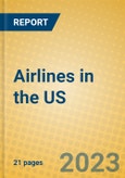 Airlines in the US- Product Image