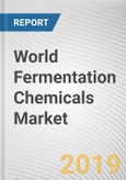 World Fermentation Chemicals Market - Opportunities and Forecasts, 2017 - 2023- Product Image