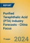 Purified Terephthalic Acid (PTA) Industry Forecasts - China Focus - Product Thumbnail Image