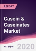Casein & Caseinates Market - Forecast (2020 - 2025)- Product Image