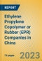 Ethylene Propylene Copolymer or Rubber (EPR) Companies in China - Product Image