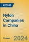 Nylon Companies in China - Product Image