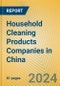 Household Cleaning Products Companies in China - Product Image