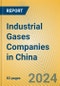 Industrial Gases Companies in China - Product Image