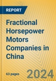 Fractional Horsepower Motors Companies in China- Product Image