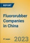 Fluororubber Companies in China - Product Image
