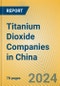 Titanium Dioxide Companies in China - Product Image