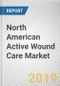 North American Active Wound Care Market - Opportunities and Forecasts, 2017 - 2023 - Product Thumbnail Image