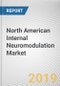 North American Internal Neuromodulation Market - Opportunities and Forecasts, 2017 - 2023 - Product Thumbnail Image