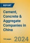 Cement, Concrete & Aggregate Companies in China - Product Image