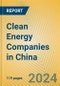Clean Energy Companies in China - Product Image