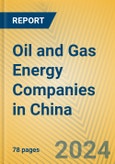 Oil and Gas Energy Companies in China- Product Image