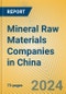 Mineral Raw Materials Companies in China - Product Image