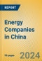 Energy Companies in China - Product Thumbnail Image