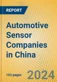 Automotive Sensor Companies in China- Product Image