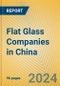Flat Glass Companies in China - Product Image