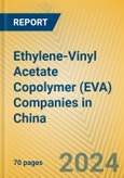 Ethylene-Vinyl Acetate Copolymer (EVA) Companies in China- Product Image