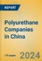 Polyurethane Companies in China - Product Thumbnail Image