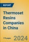 Thermoset Resins Companies in China - Product Image