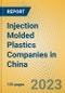 Injection Molded Plastics Companies in China - Product Image