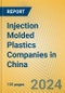 Injection Molded Plastics Companies in China - Product Image