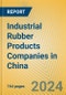 Industrial Rubber Products Companies in China - Product Image