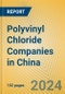 Polyvinyl Chloride Companies in China - Product Image