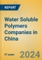 Water Soluble Polymers Companies in China - Product Image