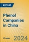 Phenol Companies in China - Product Thumbnail Image