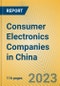 Consumer Electronics Companies in China - Product Image