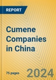 Cumene Companies in China- Product Image