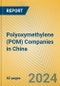 Polyoxymethylene (POM) Companies in China - Product Thumbnail Image