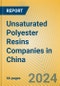 Unsaturated Polyester Resins Companies in China - Product Image