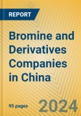 Bromine and Derivatives Companies in China- Product Image