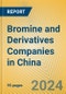 Bromine and Derivatives Companies in China - Product Thumbnail Image