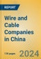 Wire and Cable Companies in China - Product Thumbnail Image