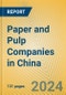 Paper and Pulp Companies in China - Product Image