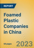 Foamed Plastic Companies in China- Product Image