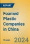 Foamed Plastic Companies in China - Product Image