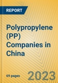Polypropylene (PP) Companies in China- Product Image